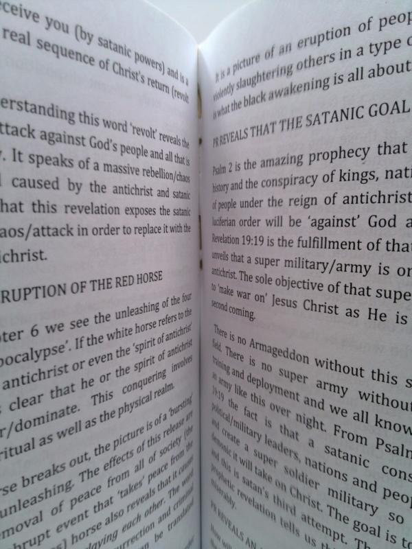 Young Adults Fiction &amp; Large Print Paperback Books The Black Awakening Workbook: Russ Dizdar ...