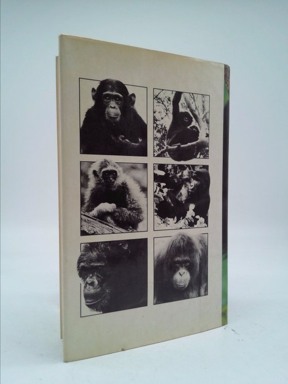 The Ape Within Us by John Mackinnon - Etsy