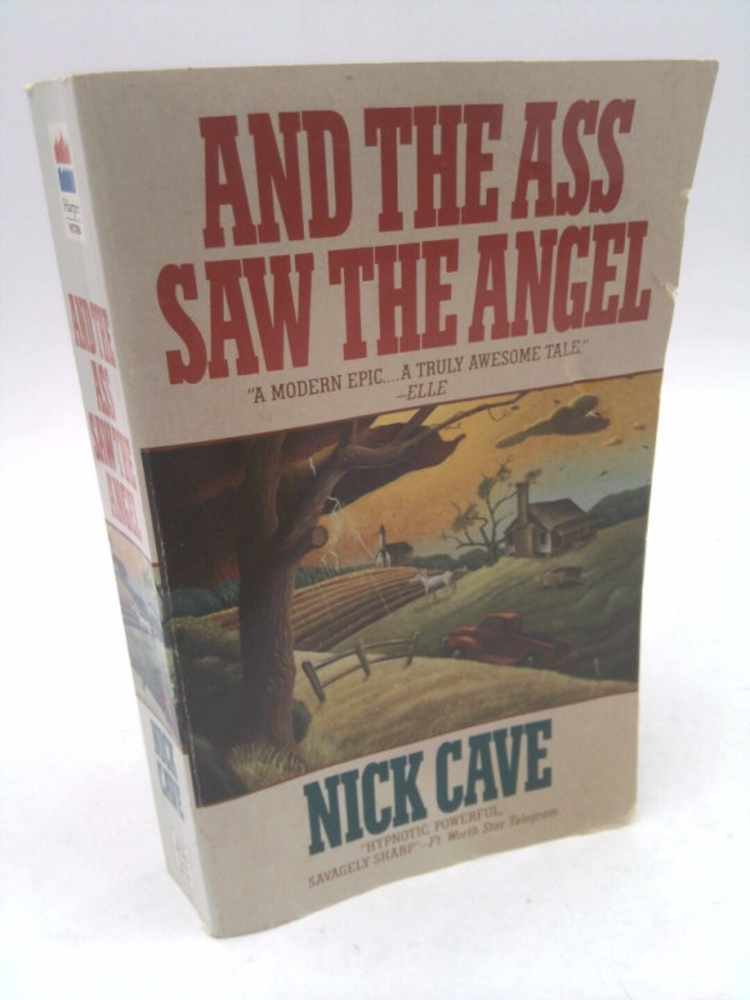 And the Ass Saw the Angel by Nick Cave Etsy