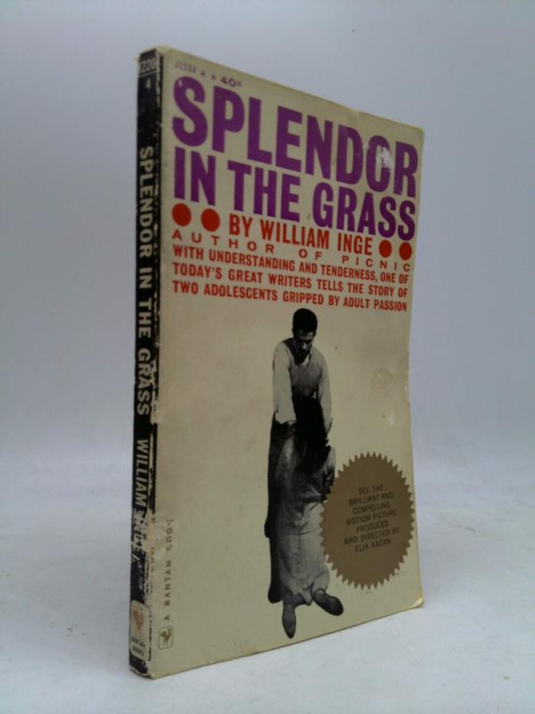 Splendor in the Grass by William Inge - Etsy