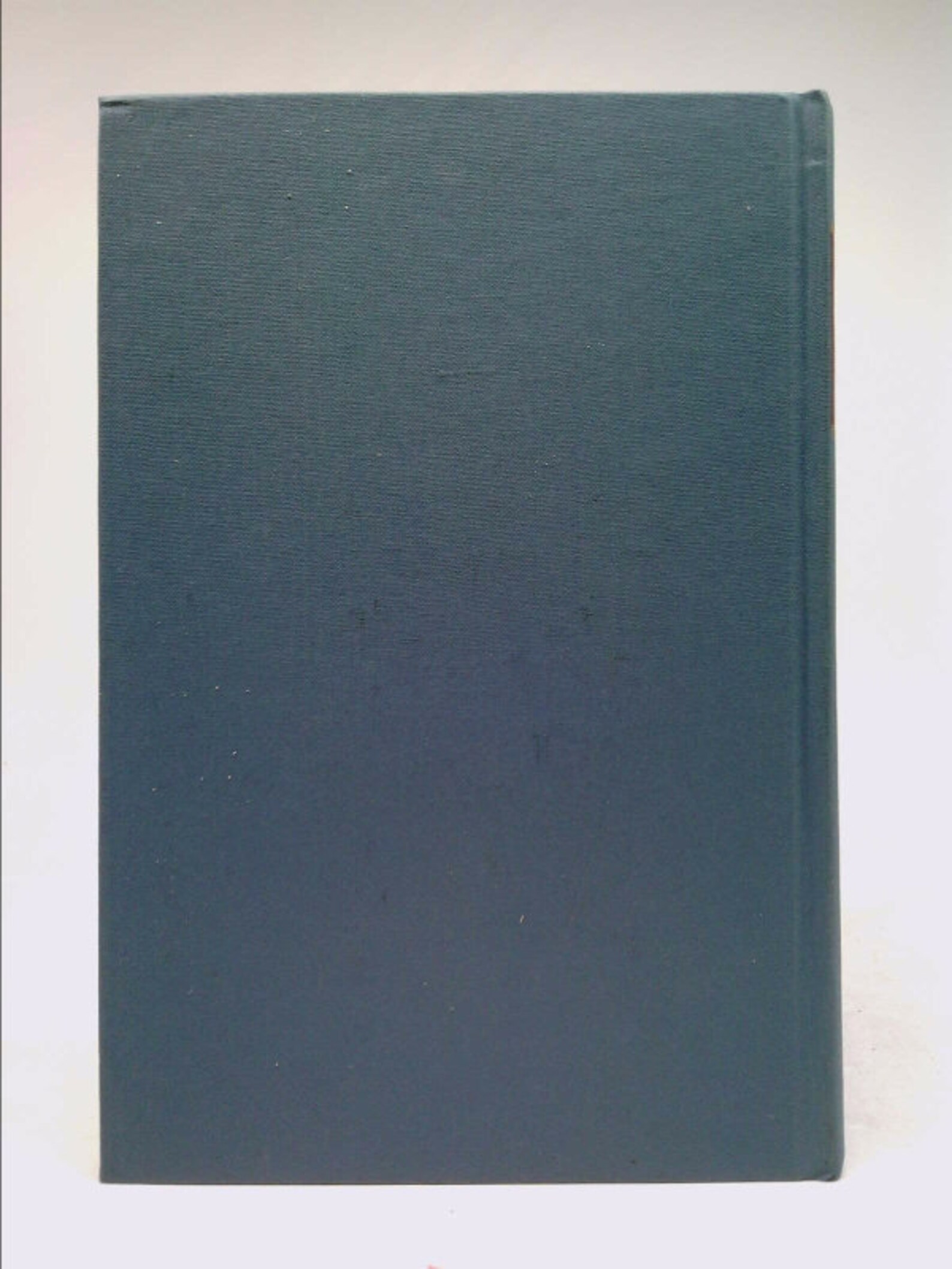 Pond ecosystem image