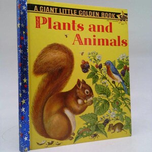 May include: A yellow book with a blue and white star pattern on the spine. The cover features a squirrel eating berries from a bush with a bluebird perched on a branch. The title is "A Giant Little Golden Book Plants and Animals".