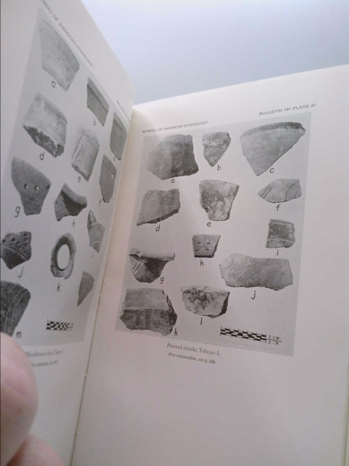 History essay contests picture