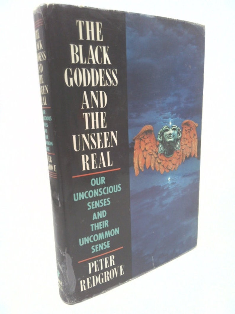 The Black Goddess and the Unseen Real by Peter Redgrove afbeelding 1