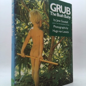 Grub, the Bush Baby by Jane Goodall