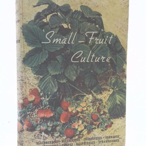 May include: A vintage book titled "Small-Fruit Culture" with a cover illustration of strawberry plants and ripe red strawberries. The cover also lists various small fruits, including blackberries, blueberries, and raspberries. The book has a beige background.