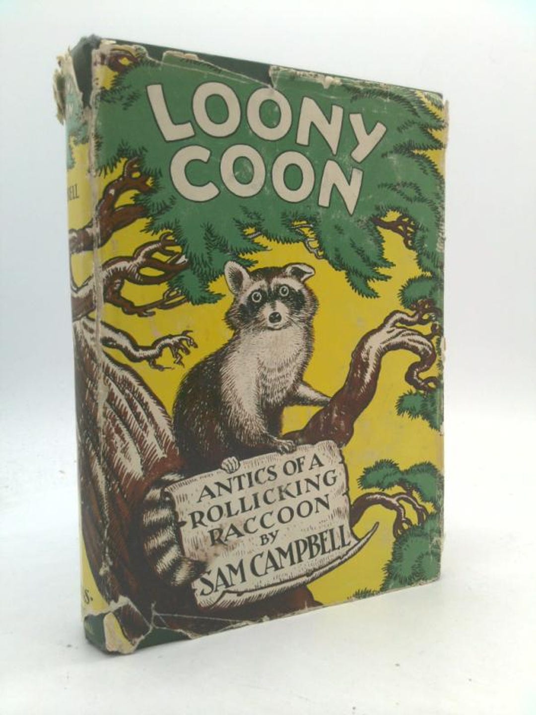 Sam The Racoon Loony Coon Antics of a Rollicking Raccoon by Sam Campbell - Etsy