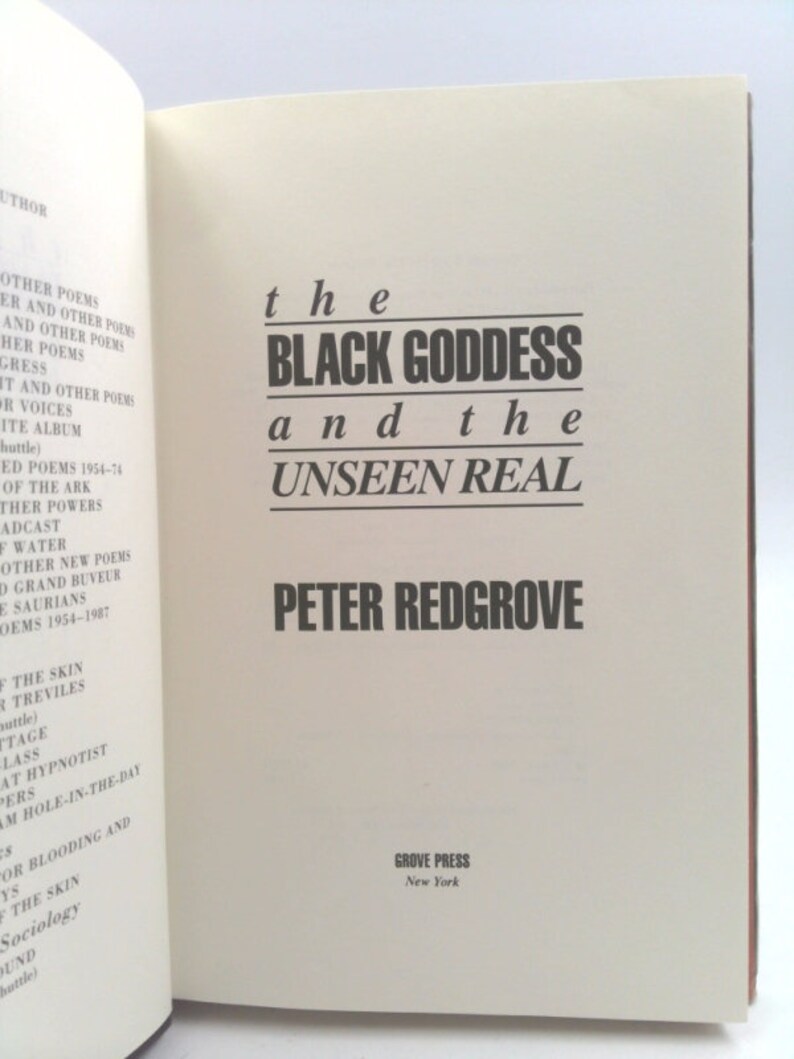 The Black Goddess and the Unseen Real by Peter Redgrove afbeelding 4