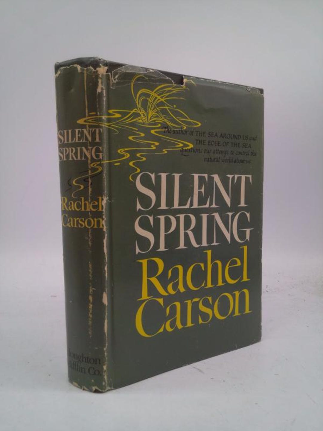 Silent Spring Rachel Carson Chart.pdf Silent Spring by Rachel Carson - Etsy