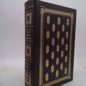 The Magic Mountain by Thomas Mann