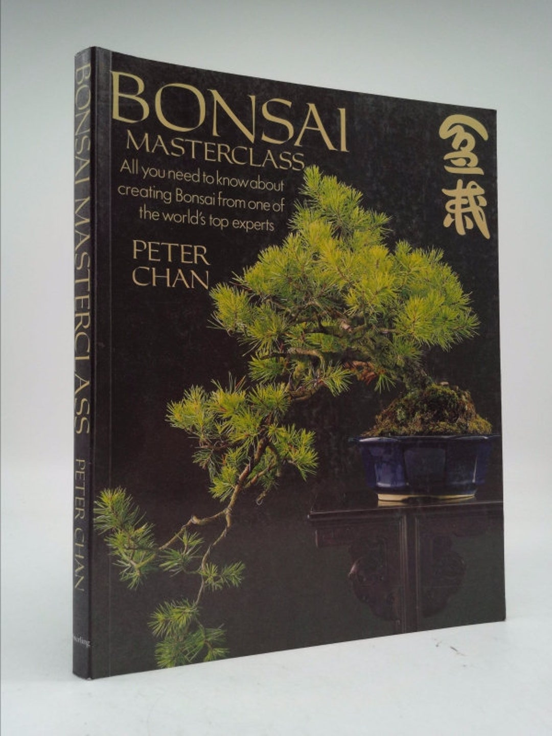 Bonsai Masterclass by Peter Chan Etsy