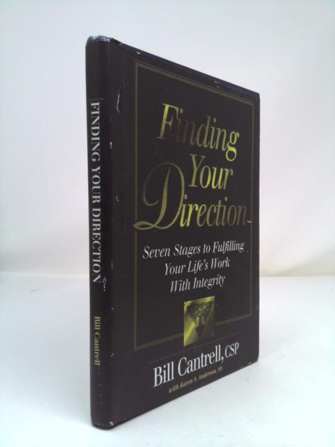 Finding Your Direction: Seven Stages to Fulfilling Your Life's Work ...