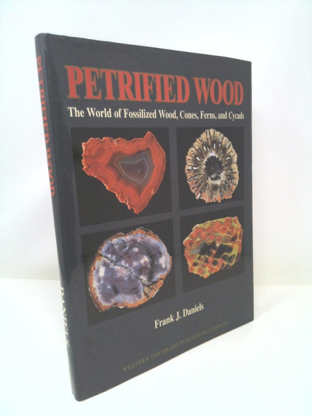 Petrified Wood: the World of Fossilized Wood, Cones, Ferns, and