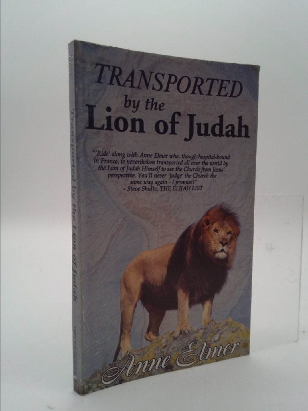 Transported by the Lion of Judah by Anne Elmer - Etsy