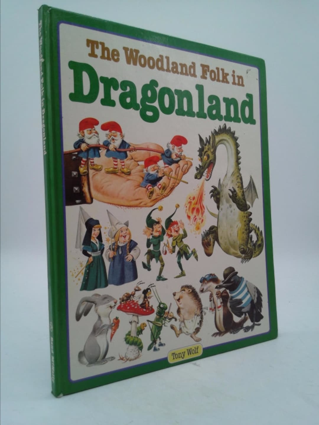 The Woodland Folk in Dragonland by Tony Wolf 