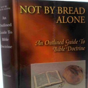 May include: A set of three ceramic mugs with a speckled, matte finish. The mugs are in shades of cream, light gray, and dark gray. Each mug has a simple, minimalist design, perfect for coffee or tea.