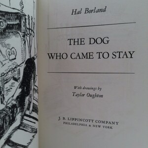 The Dog Who Came to Stay by Hal Borland image 2