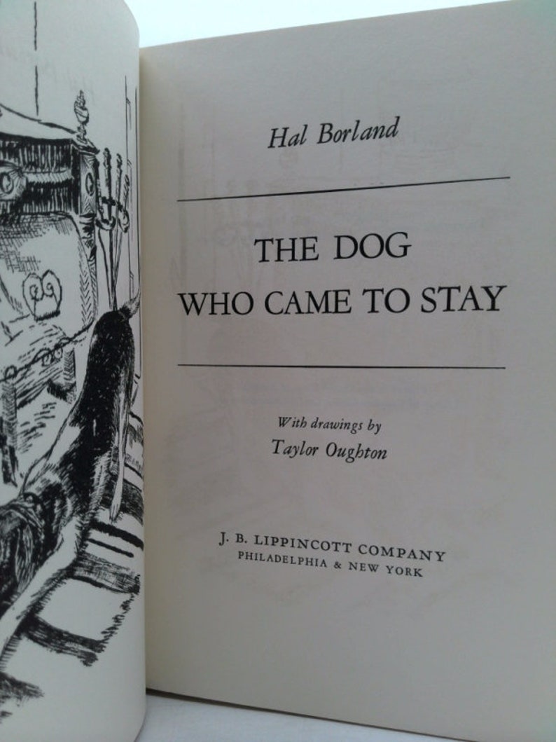 The Dog Who Came to Stay by Hal Borland image 2