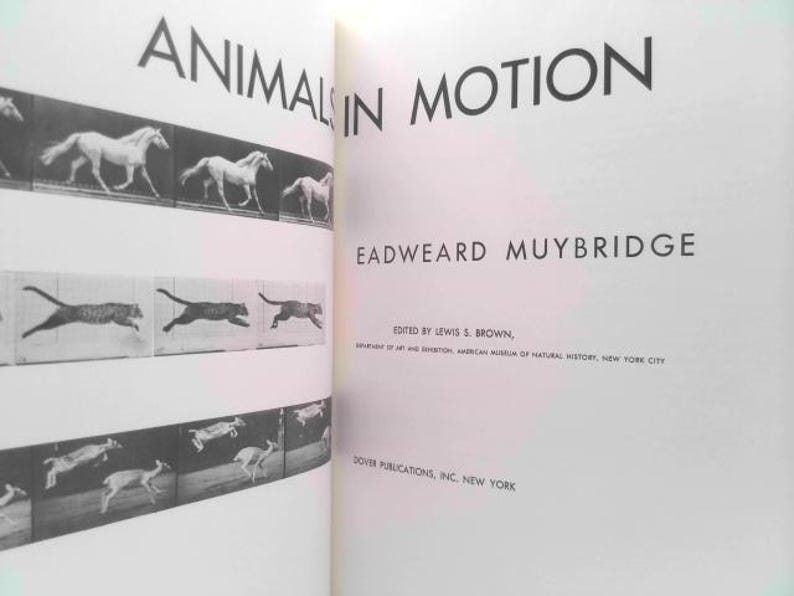 Animals in Motion by Eadweard Muybridge - Etsy