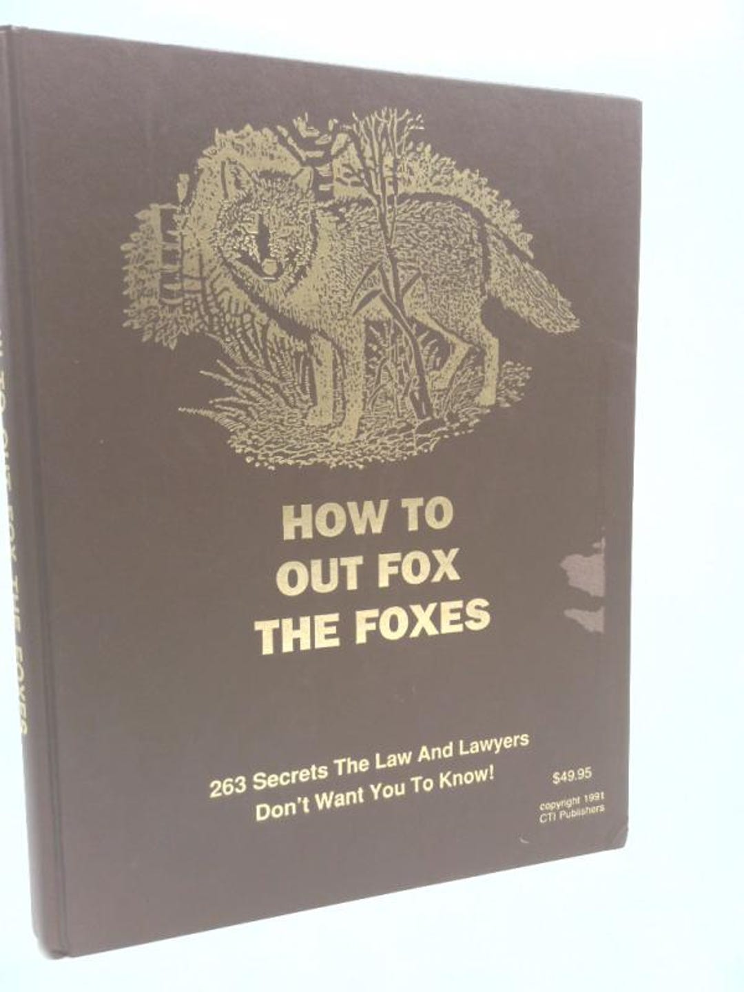 How to Out Fox the Foxes: 263 Secrets the Law and Lawyers Don't Want ...