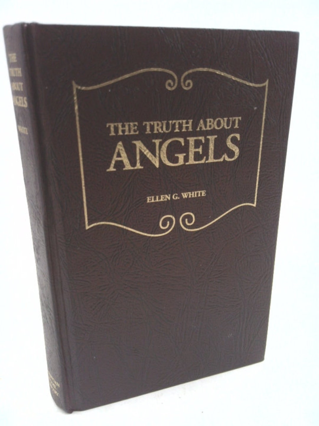 Did The Angels Wives Survive The Flood The Astonishing Truth - 061pd49