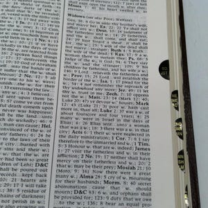 Lds Scriptures - Holy Bible, Book of Mormon, Doctrine and Covenants, Pearl of Great Price (Regular Quad) Black Genuine Leather image 3