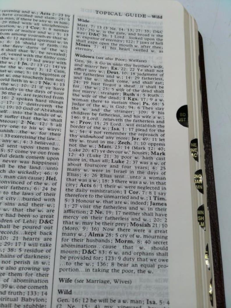Lds Scriptures - Holy Bible, Book of Mormon, Doctrine and Covenants, Pearl of Great Price (Regular Quad) Black Genuine Leather image 3