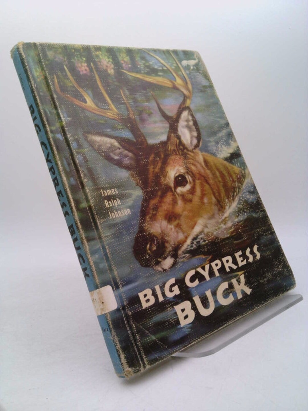 Big Cypress Buck by James Ralph Johnson - Etsy