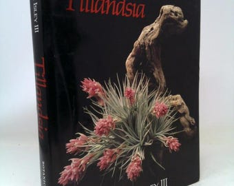Tillandsia: the World's Most Unusual Airplants by Paul T. Isley - Etsy
