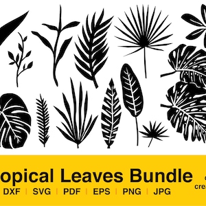 May include: A set of 13 black silhouette tropical leaf illustrations. The leaves are in various shapes and sizes, including palm leaves, monstera leaves, and fern leaves. The illustrations are perfect for use in crafting, scrapbooking, and other creative projects.
