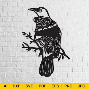 Nova Zelândia Tui Bird Frame / Decor Tui, Tui, SVG File Cutting, EPS, arquivos de corte para Silhouette Studio, Cricut PNG, Tui bird svg