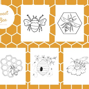 May include: A collection of five black and white bee-themed illustrations on white backgrounds, set against a honeycomb pattern. The illustrations include bees, a honeycomb, and a beehive. The text "Sweet Bea Creatives" is in a circle.