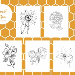 Op de afbeelding: Vijf bloemenkunstprints op witte achtergronden, met gedetailleerde zwart-wit illustraties van een zonnebloem, hortensia, klaproos, pioenroos en lelie. De achtergrond is een honingraatpatroon in geel en wit. De linkerbovenhoek heeft een logo met de tekst "Sweet Bea Creatives".