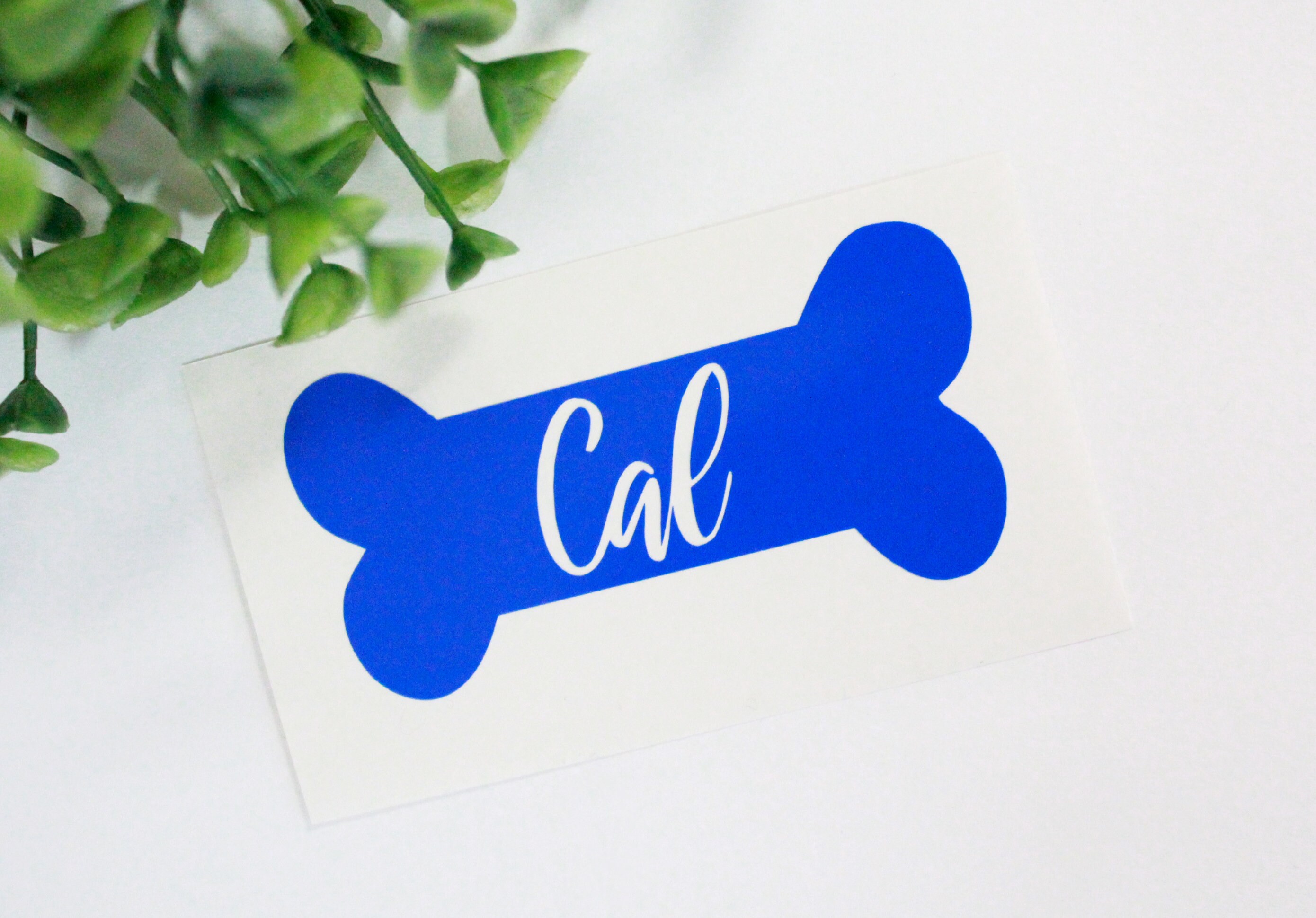 Dog Bone Sticker Dog Bone Name Decal Pet Name Decal Etsy