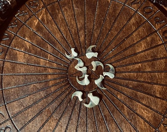 Bobcat Claw | Animal Curio | Spiritual