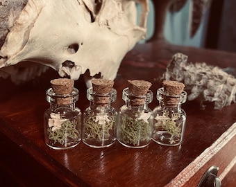 Fioles de curiosités des bois | Curiosités | Curiosités | Os