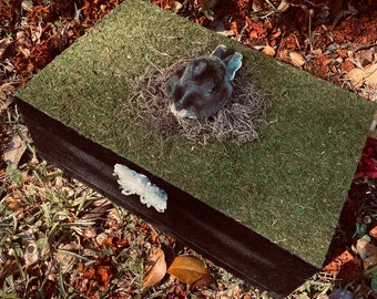Beltane Witch Altar Box | Curio | Witchcraft | Witch