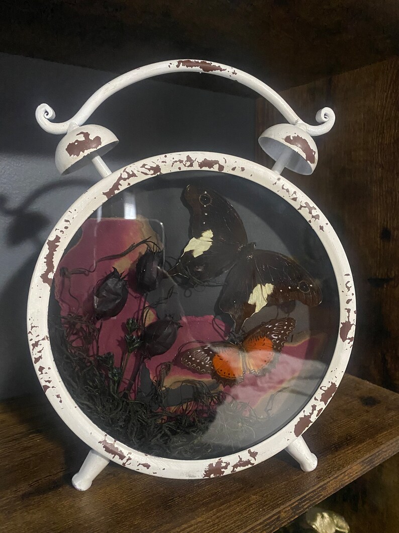 Stick Insect Clock Handcrafted Insect Art Clock - Etsy