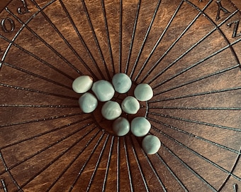 Nickernuts | Good Luck | Protection | Witchcraft