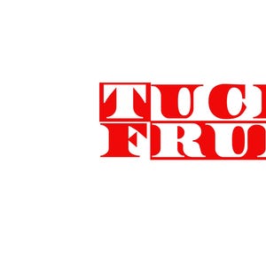 トラック フランプ 反トランプ ステッカー ビニール デカール 面白いバンパー ステッカー