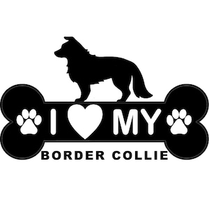 I love my Border Collie vinyl car decal