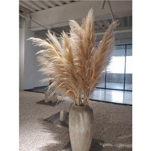 EVODIS Faux Pampas Grass 6 Stems, Artificial Pampas Grass - 43 inch Total  Extra Large Pompass Grass Tall Pompous Boho Flower Arrangement and Floor