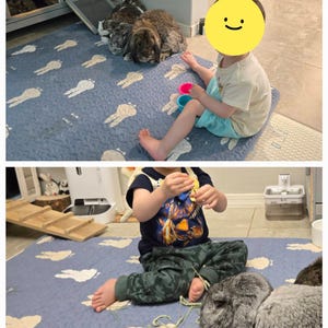 May include: A blue mat with white rabbit shapes, with a child and several rabbits. The child is sitting on the mat, playing with toys. The rabbits are resting near the child. The mat is on a tile floor.