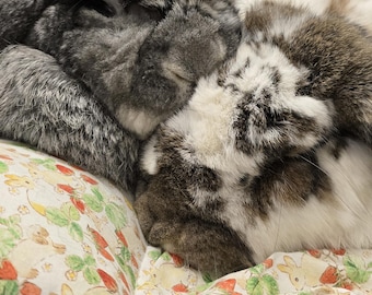 Rabbit Guinea Pig Bunny Jumbo Bed