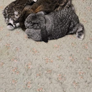 Cotton Pet/Dog/Cat/Guinea Pigs/Rabbit Play Mat : Non-Slip Machine Washable