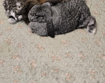 Tapis de jeu en coton pour animal de compagnie/chien/chat/cochon d'Inde/lapin : antidérapant lavable en machine