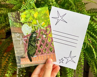 May include: A rectangular postcard featuring a colorful illustration of a white cat and a dark tabby cat on a brick wall with a lattice fence, accented by white star outlines. The reverse side is white with black lines for writing and star icons.