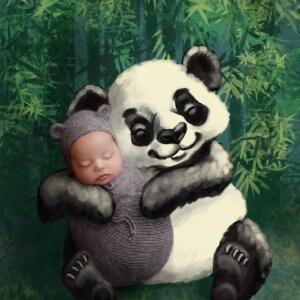 Panda Hug Newborn Photography Digital Backdrop
