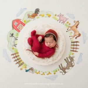 Cute Farm backdrop, Digital Backdrop for Newborn Photography, Digital background. Farm animals.