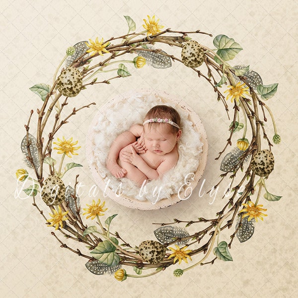 Spring Buttercup Wreath, Backdrop for Newborn Photography, Digital backgrounds for Newborn Photography, Twiggy wreath